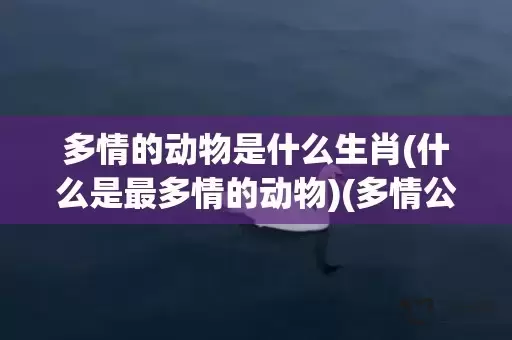 多情的动物是什么生肖(什么是最多情的动物)(多情公子是什么动物)插图