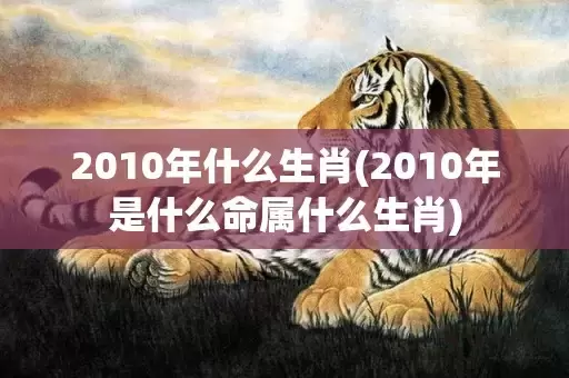 2010年什么生肖(2010年是什么命属什么生肖)插图