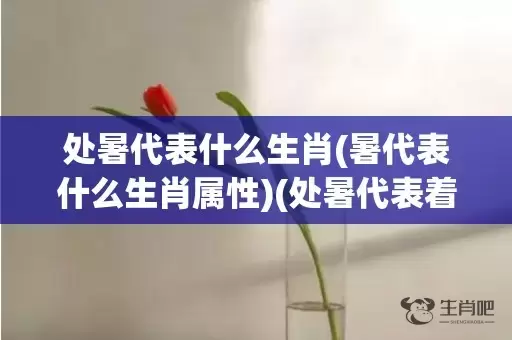 处暑代表什么生肖(暑代表什么生肖属性)(处暑代表着什么)插图