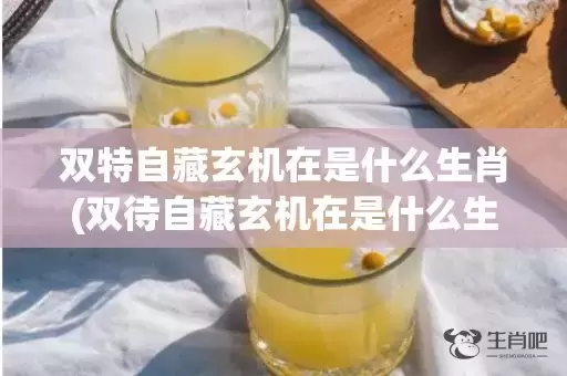 双特自藏玄机在是什么生肖(双待自藏玄机在是什么生肖)(双特自藏玄机在指什么生肖)插图