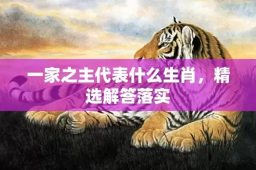 一家之主代表什么生肖，精选解答落实插图