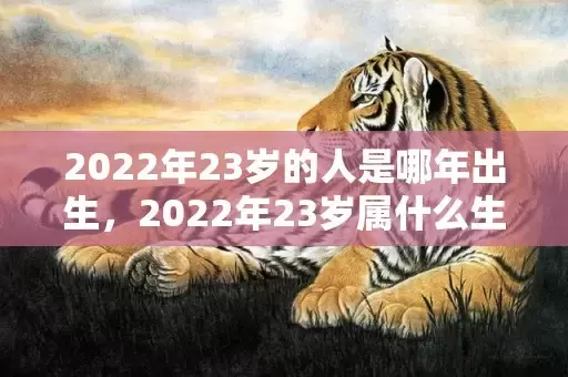 2022年23岁的人是哪年出生，2022年23岁属什么生肖插图