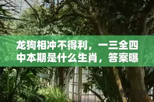 龙狗相冲不得利，一三全四中本期是什么生肖，答案曝光落实插图