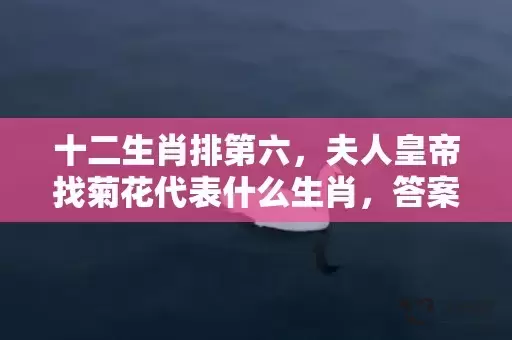 十二生肖排第六，夫人皇帝找菊花代表什么生肖，答案曝光落实插图