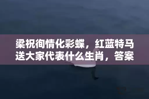 梁祝徇情化彩蝶，红蓝特马送大家代表什么生肖，答案曝光落实插图