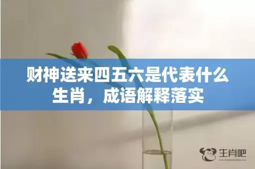 财神送来四五六是代表什么生肖，成语解释落实插图