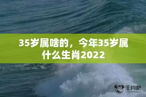 35岁属啥的，今年35岁属什么生肖2022插图