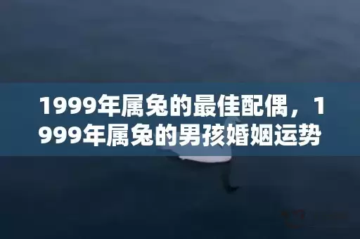 1999年属兔的最佳配偶，1999年属兔的男孩婚姻运势分析插图