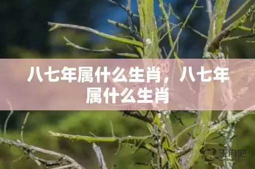 八七年属什么生肖，八七年属什么生肖插图