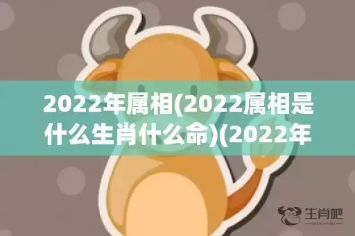 2022年属相(2022属相是什么生肖什么命)(2022年属相是什么命)插图