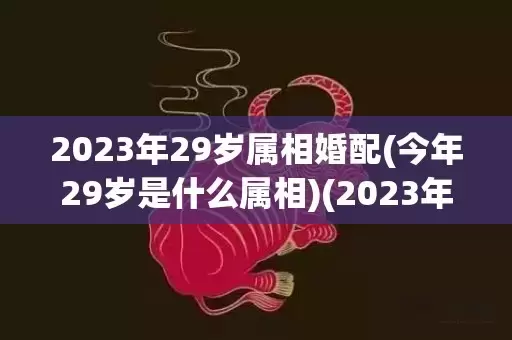 2023年29岁属相婚配(今年29岁是什么属相)(2023年29岁虚岁属什么生肖)插图