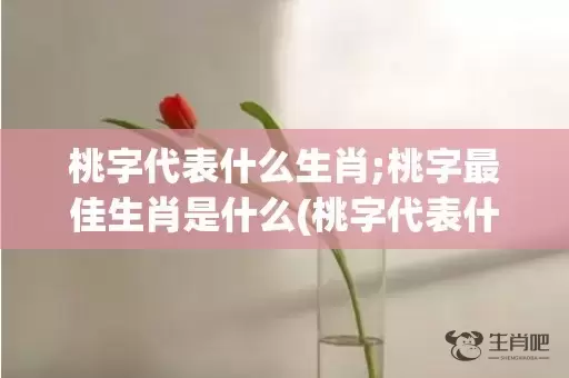 桃字代表什么生肖;桃字最佳生肖是什么(桃字代表什么生肖好)插图