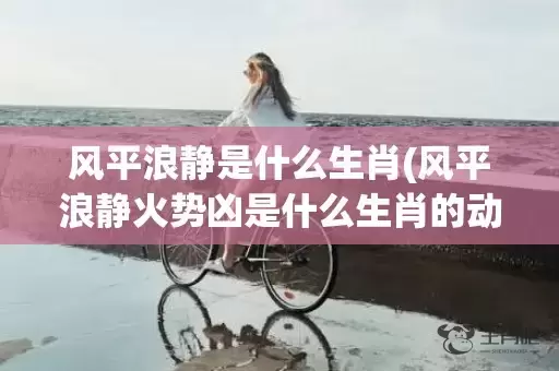 风平浪静是什么生肖(风平浪静火势凶是什么生肖的动物)(风平浪静是什么短语)插图