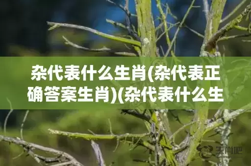 杂代表什么生肖(杂代表正确答案生肖)(杂代表什么生肖动物)插图