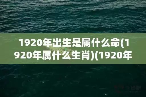 1920年出生是属什么命(1920年属什么生肖)(1920年出生是属什么命)插图