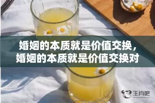 婚姻的本质就是价值交换，婚姻的本质就是价值交换对吗对吗对吗 婚姻生活的本质是什么插图