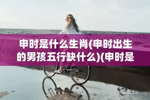 申时是什么生肖(申时出生的男孩五行缺什么)(申时是什么生肖动物)插图