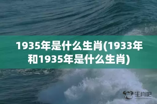 1935年是什么生肖(1933年和1935年是什么生肖)插图