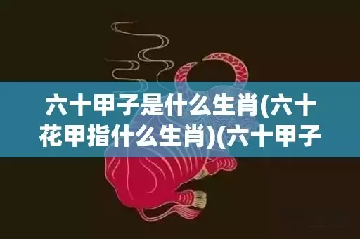 六十甲子是什么生肖(六十花甲指什么生肖)(六十甲子是什么意思?)插图