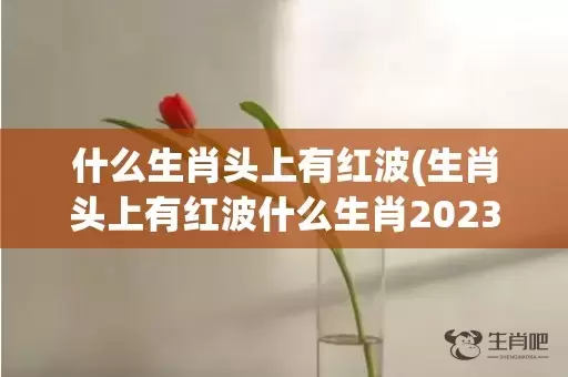 什么生肖头上有红波(生肖头上有红波什么生肖2023)(什么生肖头上有红纹的动物)插图