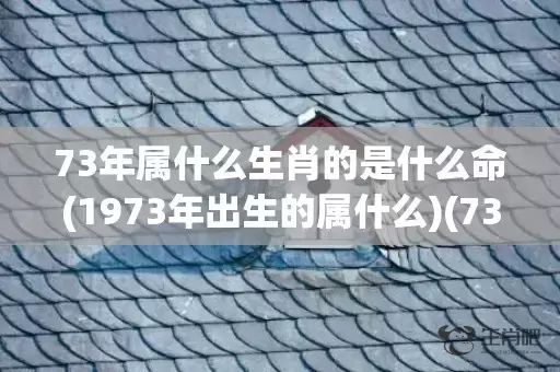 73年属什么生肖的是什么命(1973年出生的属什么)(73年属什么生肖 今年多大了)插图