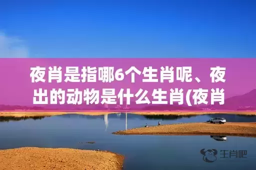 夜肖是指哪6个生肖呢、夜出的动物是什么生肖(夜肖是指哪6个生肖雨肖)插图