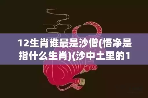 12生肖谁最是沙僧(悟净是指什么生肖)(沙中土里的12生肖)插图