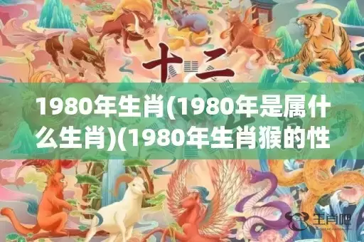 1980年生肖(1980年是属什么生肖)(1980年生肖猴的性格)插图