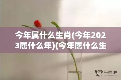 今年属什么生肖(今年2023属什么年)(今年属什么生肖2023)插图