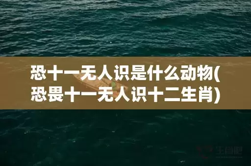 恐十一无人识是什么动物(恐畏十一无人识十二生肖)(恐畏十一无人识打一数字)插图