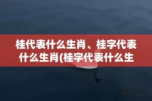 桂代表什么生肖、桂字代表什么生肖(桂字代表什么生肖动物)插图