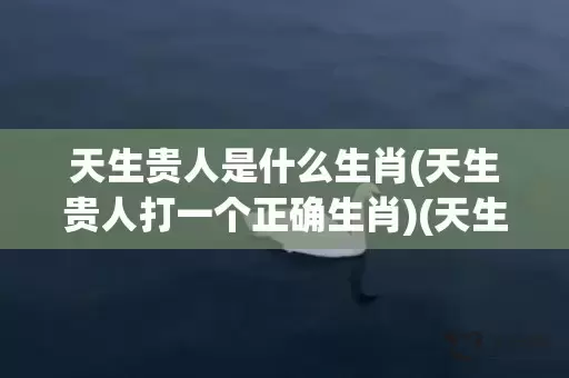 天生贵人是什么生肖(天生贵人打一个正确生肖)(天生贵人幸福年是什么意思)插图