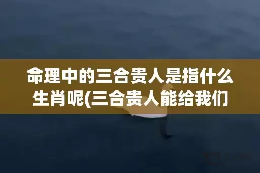 命理中的三合贵人是指什么生肖呢(三合贵人能给我们带来什么)(命理中的三台贵人)插图