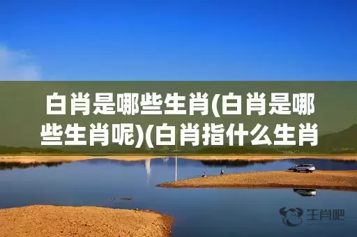 白肖是哪些生肖(白肖是哪些生肖呢)(白肖指什么生肖动物)插图