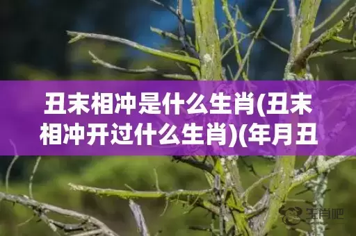 丑末相冲是什么生肖(丑末相冲开过什么生肖)(年月丑未相冲的结果是什么)插图