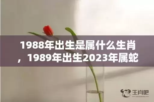 1988年出生是属什么生肖，1989年出生2023年属蛇插图