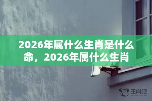 2026年属什么生肖是什么命，2026年属什么生肖插图