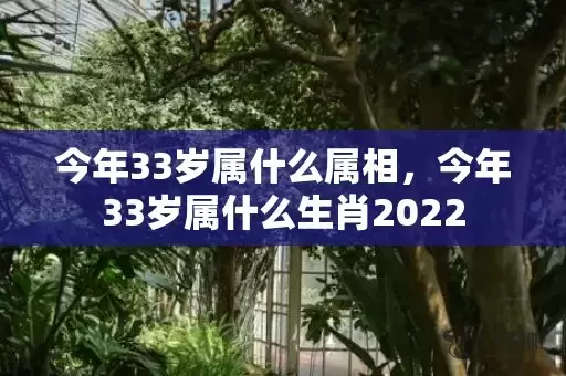 今年33岁属什么属相，今年33岁属什么生肖2022插图