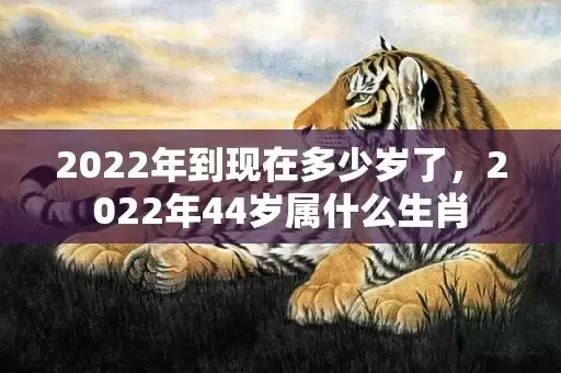 2022年到现在多少岁了，2022年44岁属什么生肖插图