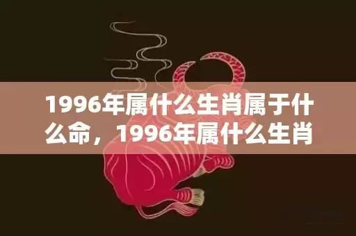 1996年属什么生肖属于什么命，1996年属什么生肖插图