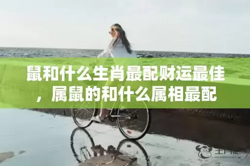 鼠和什么生肖最配财运最佳，属鼠的和什么属相最配插图