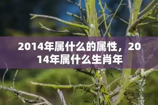 2014年属什么的属性，2014年属什么生肖年插图