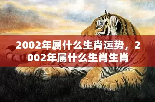 2002年属什么生肖运势，2002年属什么生肖生肖插图