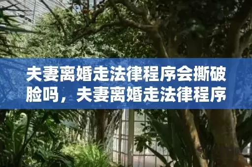 夫妻离婚走法律程序会撕破脸吗，夫妻离婚走法律程序怎么走流程？单方面离婚怎么离插图