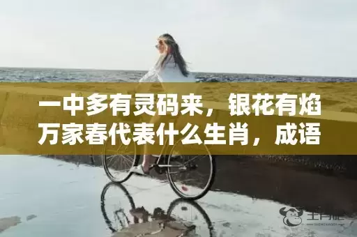 一中多有灵码来，银花有焰万家春代表什么生肖，成语解析落实插图