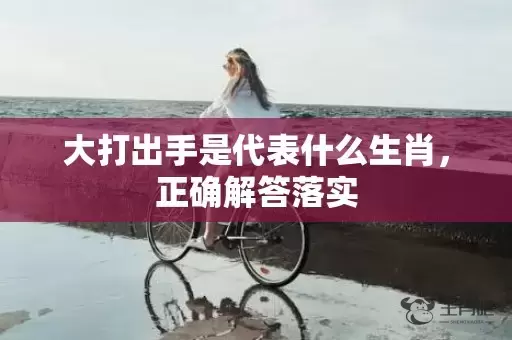 大打出手是代表什么生肖，正确解答落实插图