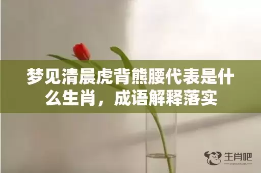 梦见清晨虎背熊腰代表是什么生肖，成语解释落实插图