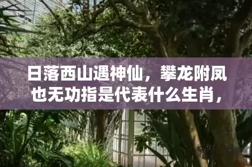 日落西山遇神仙，攀龙附凤也无功指是代表什么生肖，谜底解析落实插图