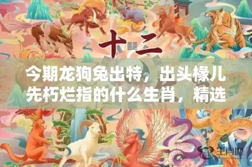 今期龙狗兔出特，出头椽儿先朽烂指的什么生肖，精选作答落实插图