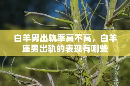 白羊男出轨率高不高，白羊座男出轨的表现有哪些插图